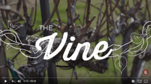 I AM The True Vine by Brian Fisher at Grace Bible Church in College Station, Texas