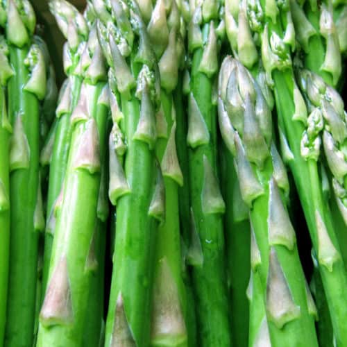 Asparagus – April Gardening Tips from The Culinary View