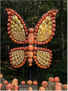 In Pursuit of Leaves and Lobster – Week Two