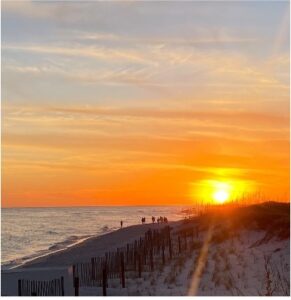 In Pursuit of Leaves and Lobster – Week Six